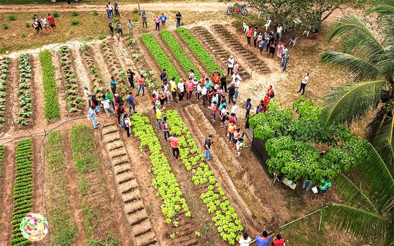 Capacitação do projeto Amesa que atende agricultores de 24 comunidades de Barcarena 