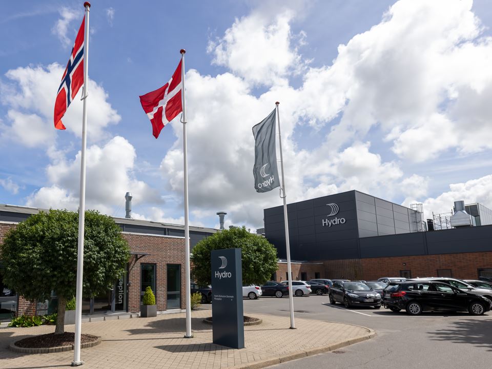 a few flags on poles